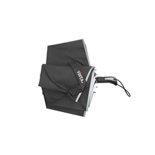 Load image into Gallery viewer, &quot;Vista International&quot; Denver Umbrella
